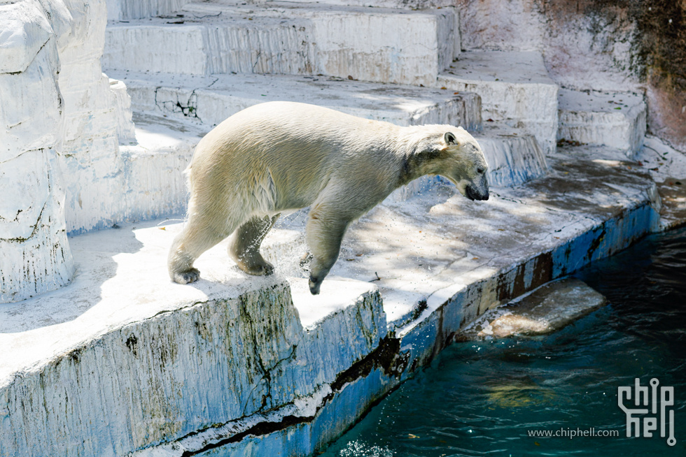 _DSC3475.jpg