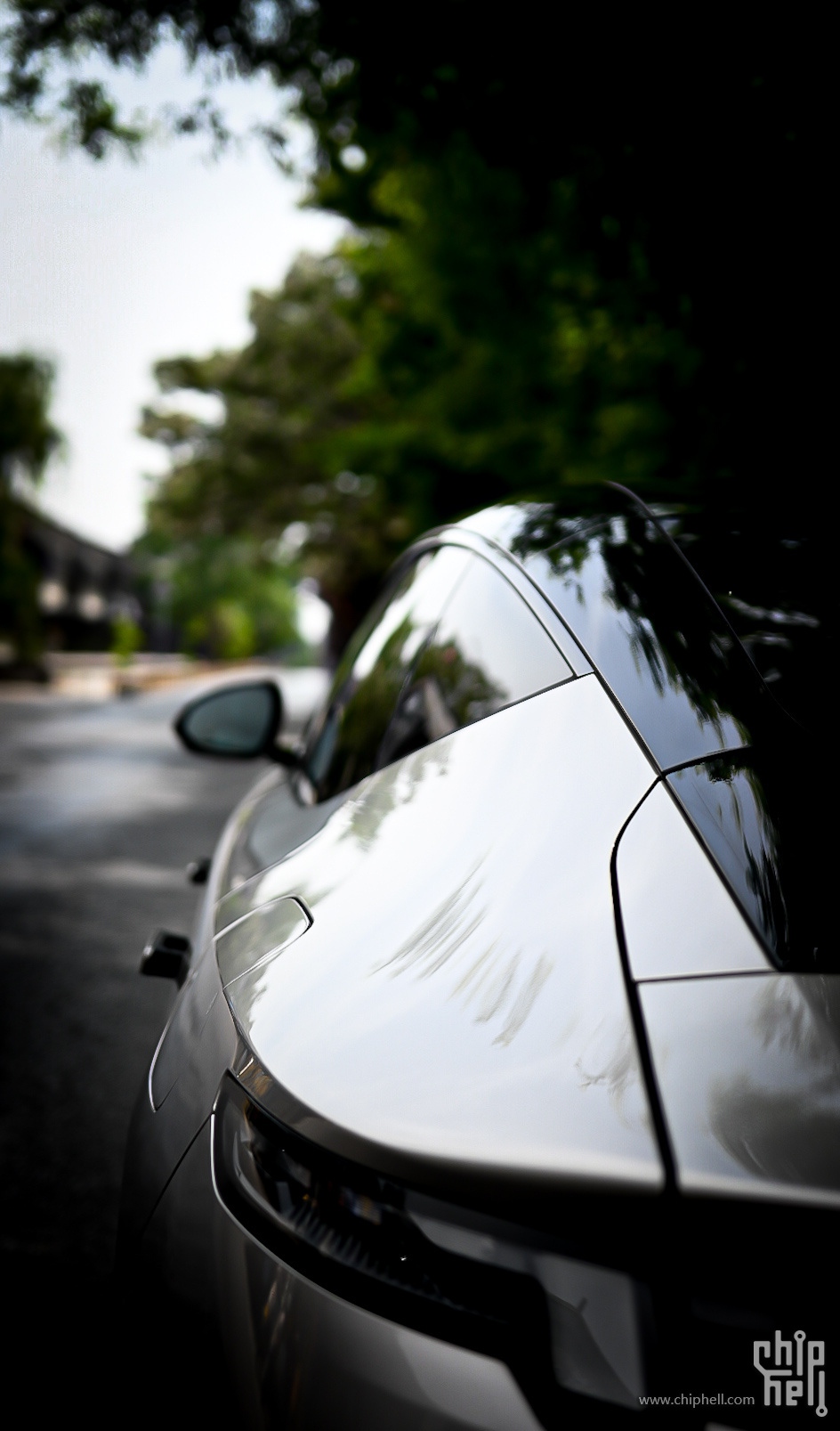 DSC_9264.JPG