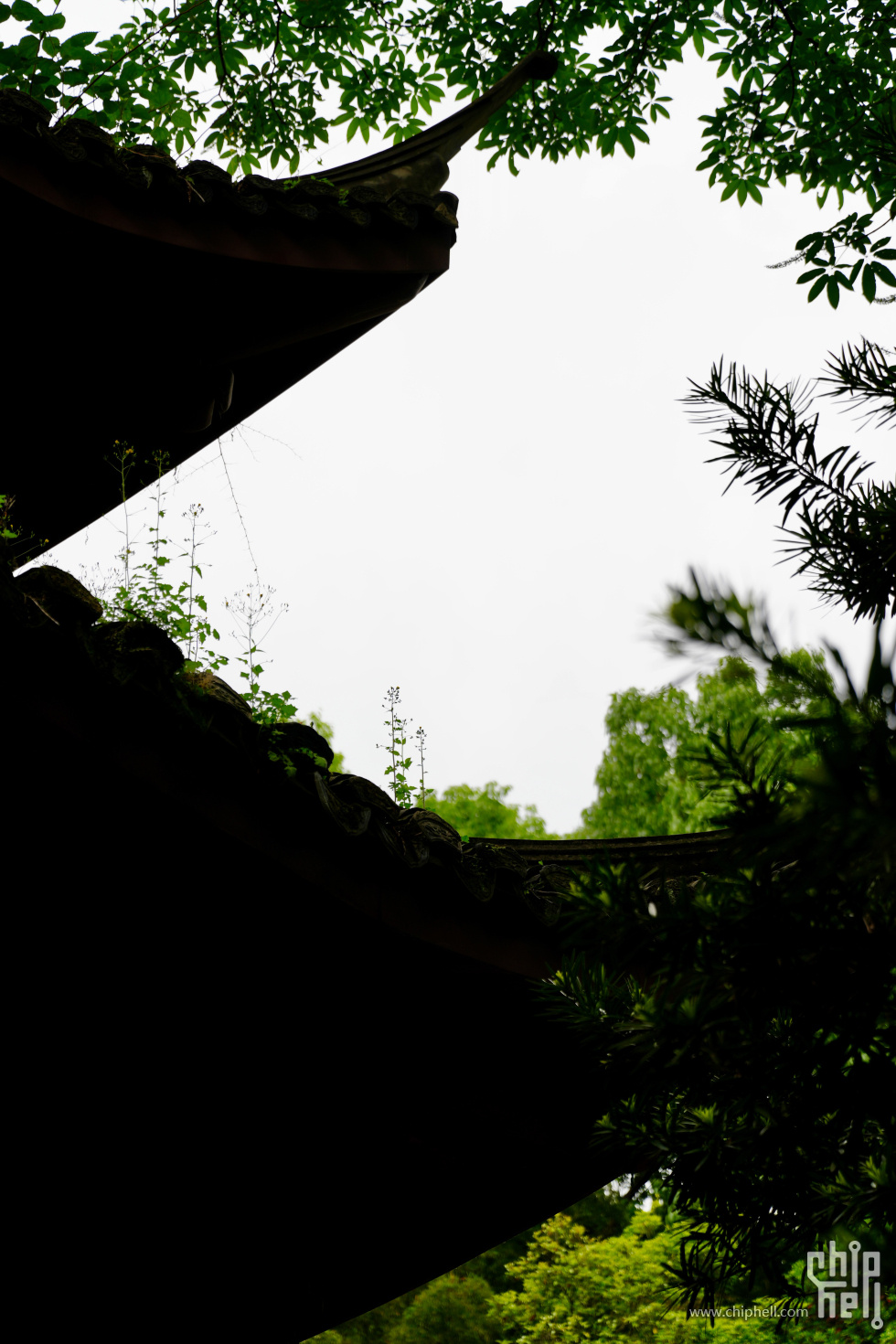 A7C06578.jpg