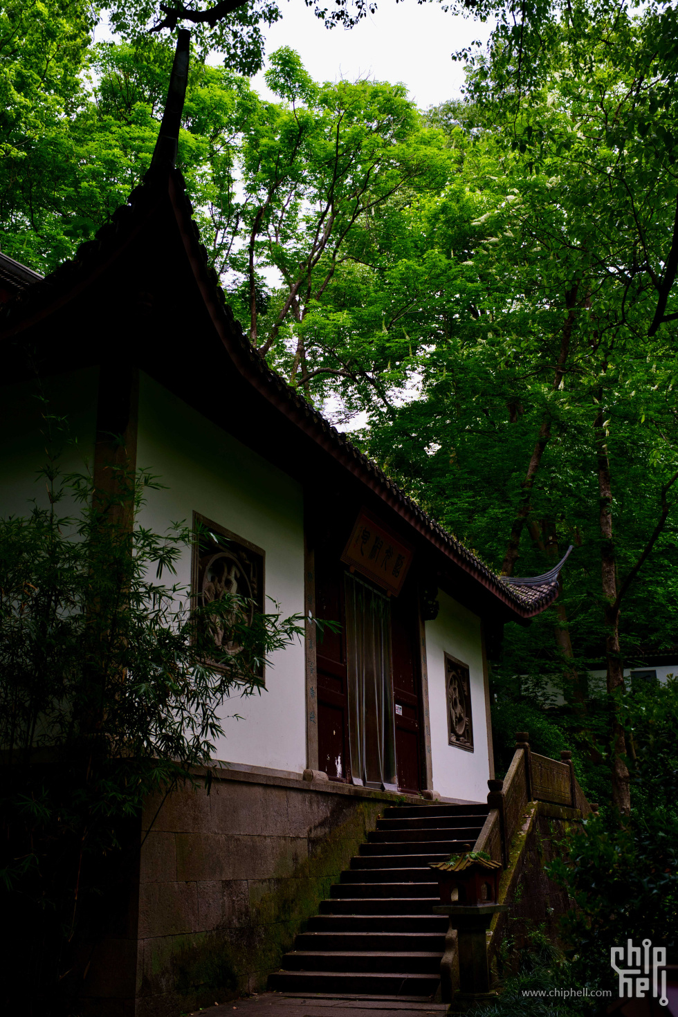 A7C06631.jpg