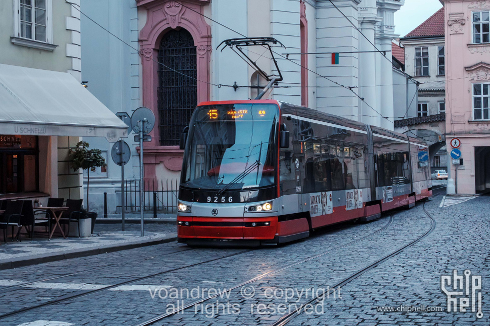 20240926-Prague-7IV05222-已增强-降噪.jpg
