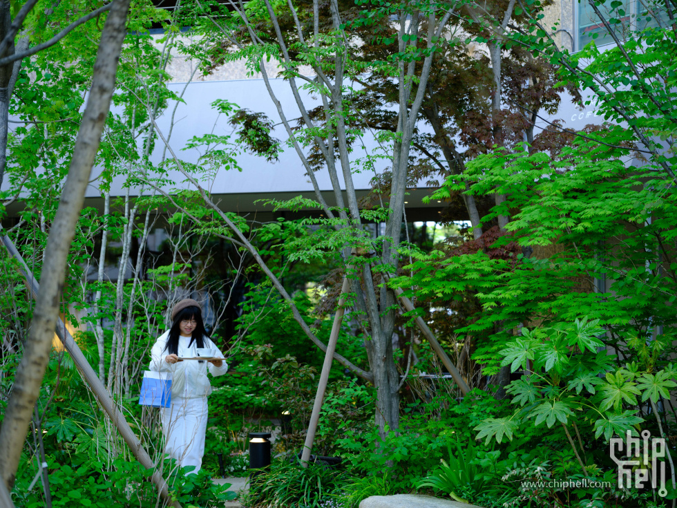 DSCF5167.jpg