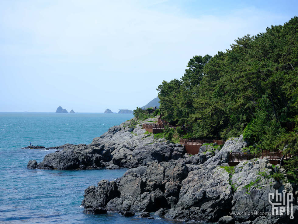 DSCF5582.jpg