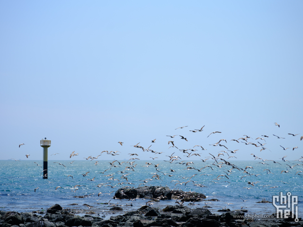 DSCF5800.jpg