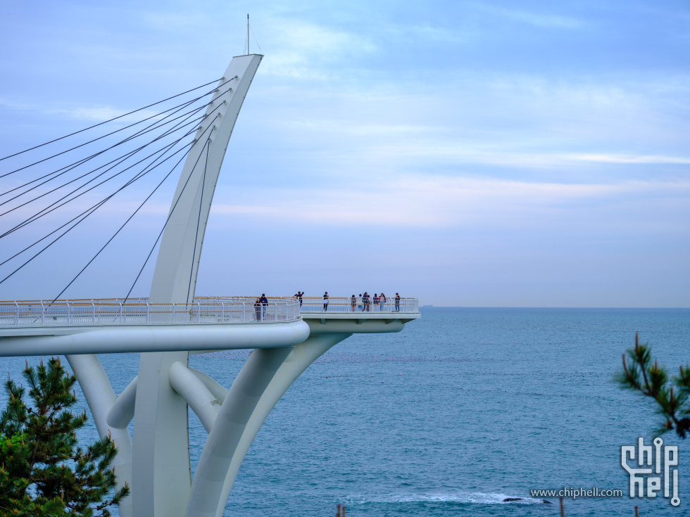DSCF5430.jpg