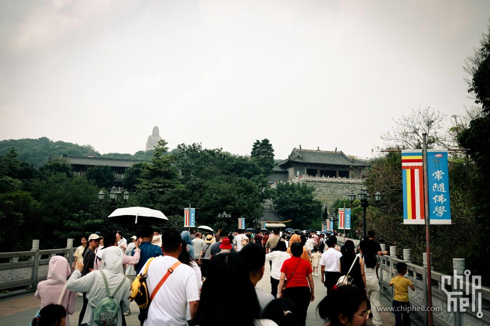 IMG_0950_PerfectlyClear.jpg