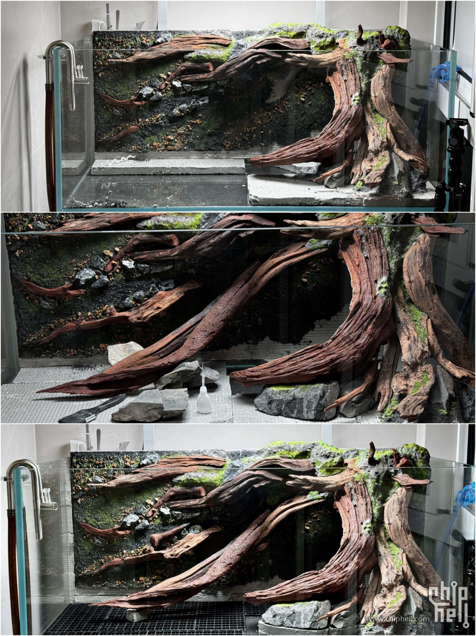 背景板整体入缸.jpg