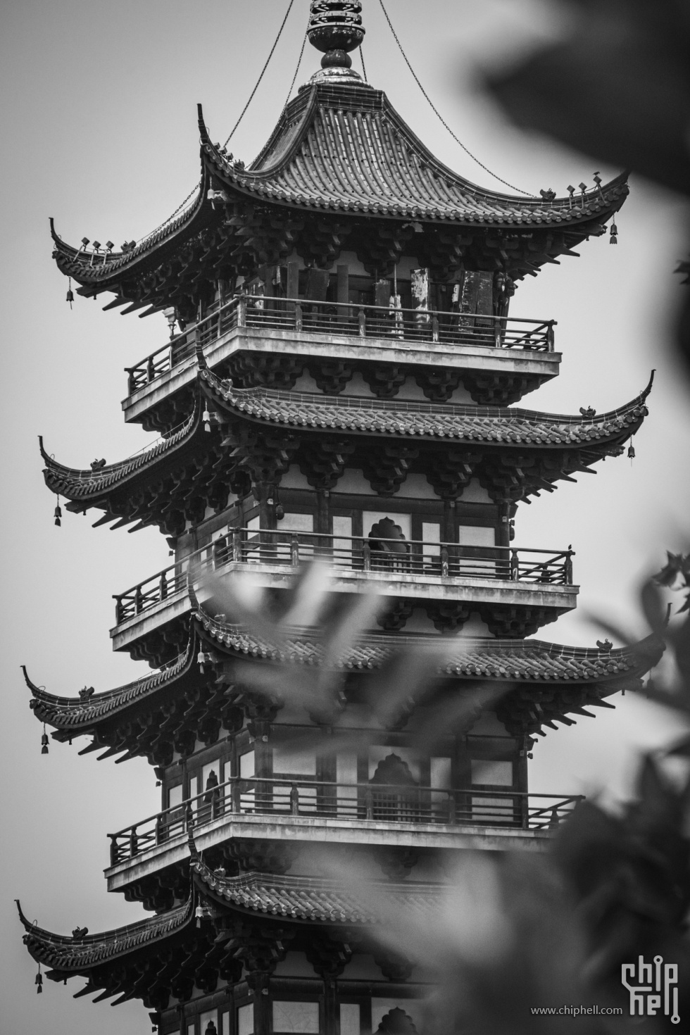 微信图片_202505042215581.jpg