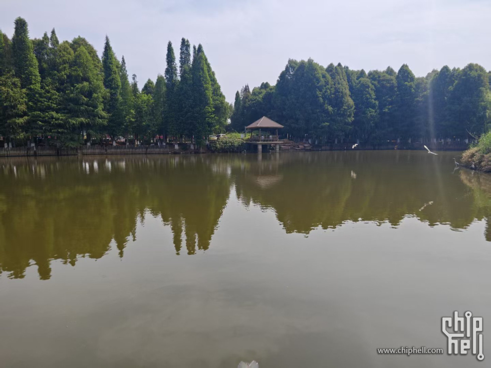 微信图片_20250505110851.jpg