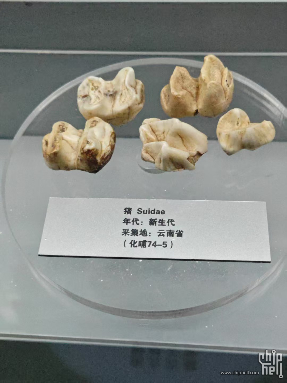 微信图片_20250505110858.jpg