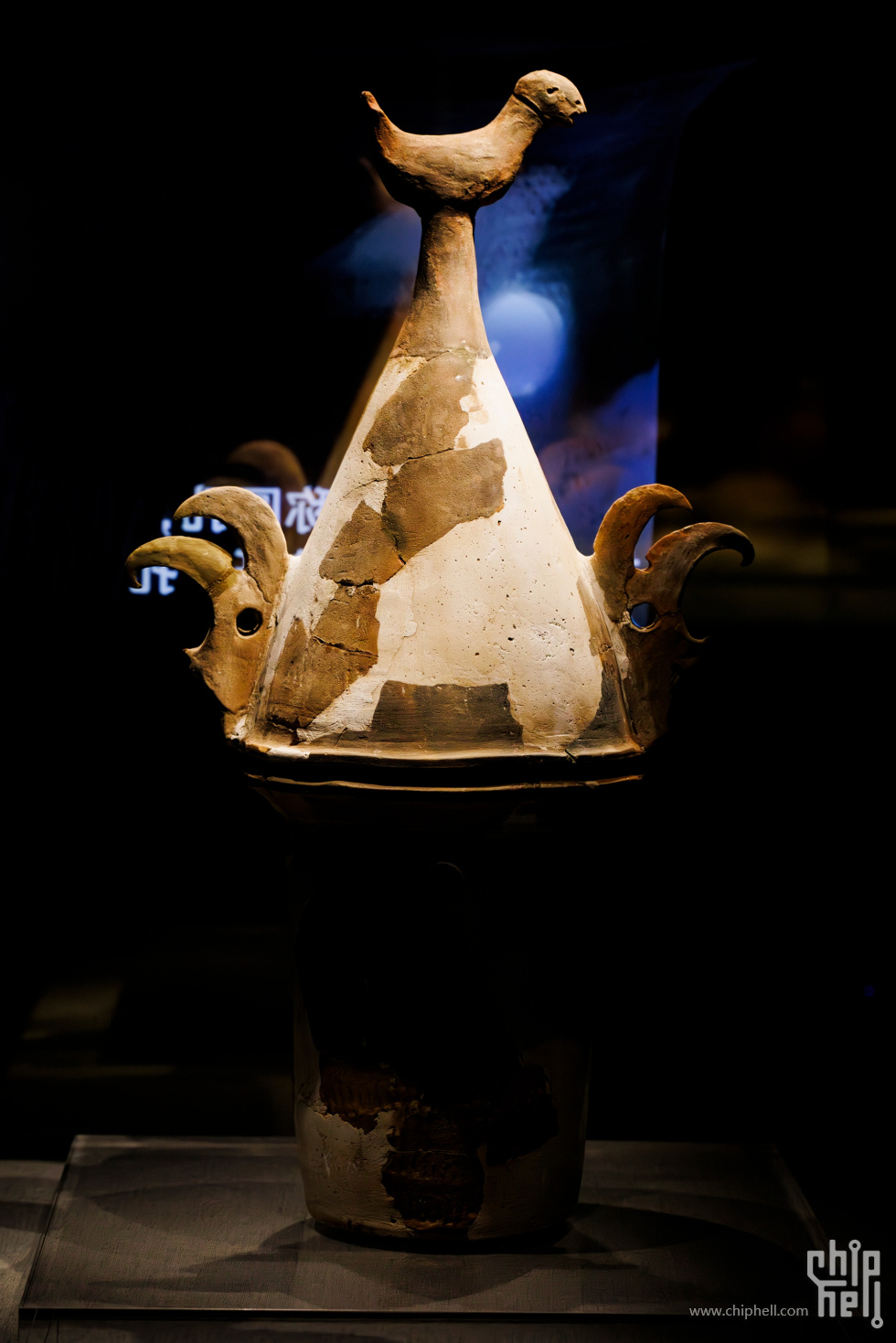 _J7A0555.jpg