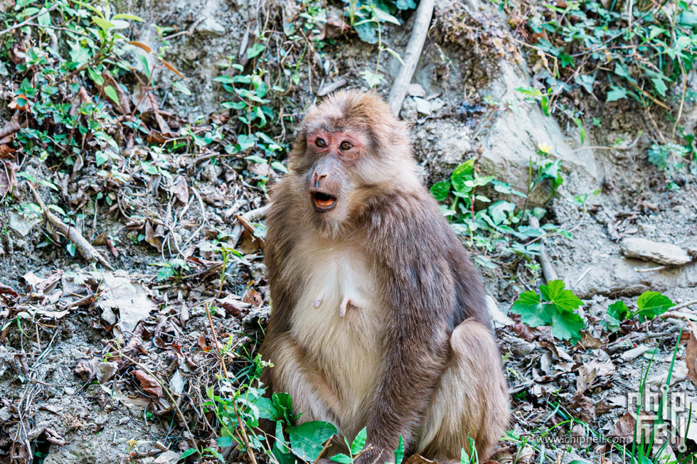 DSC00669-已增强-NR.jpg