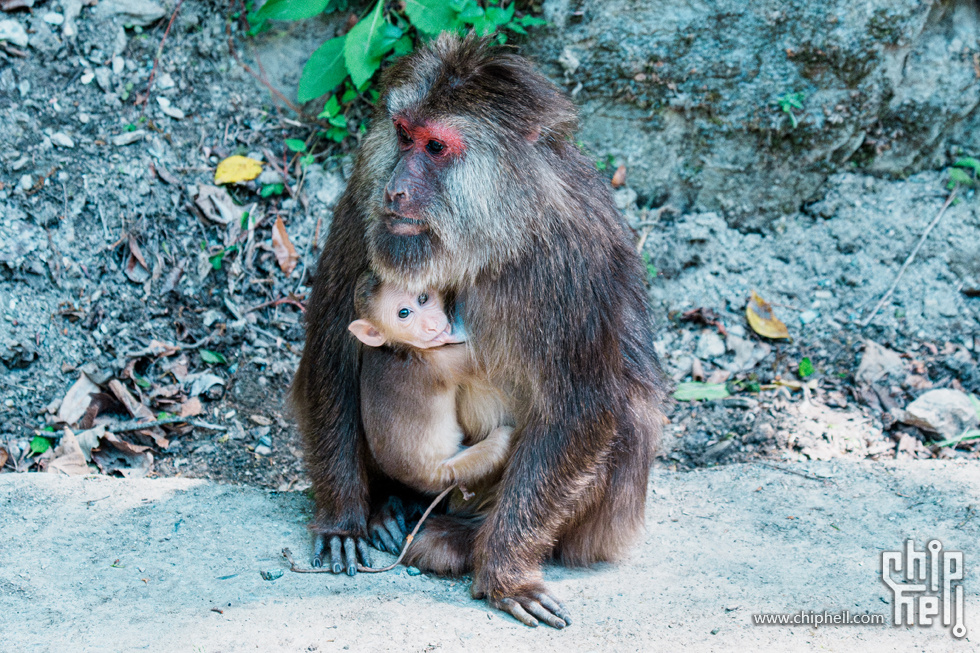 DSC00674-已增强-NR.jpg