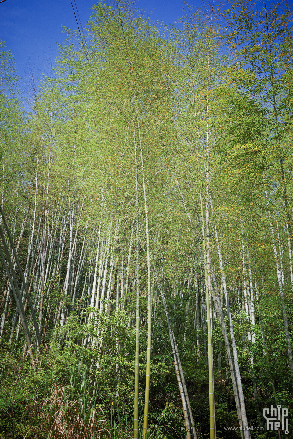 R0003382.jpg