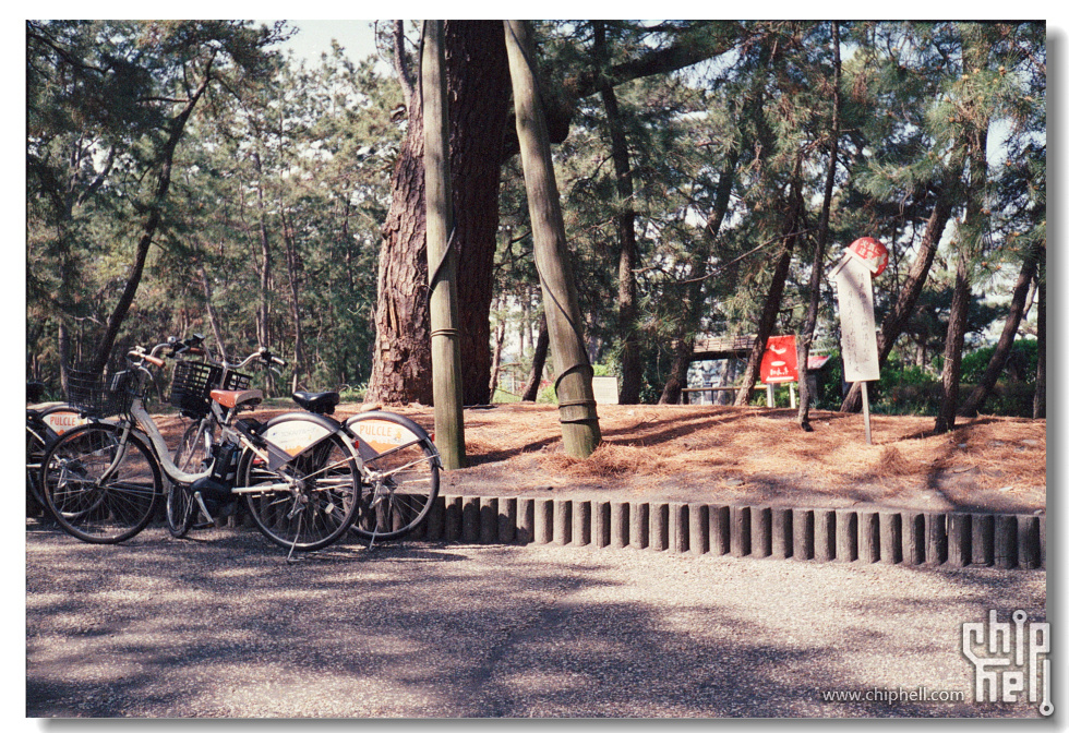 20250420 东京富士山岩本山公园_富士C100_宾得17 14.jpg
