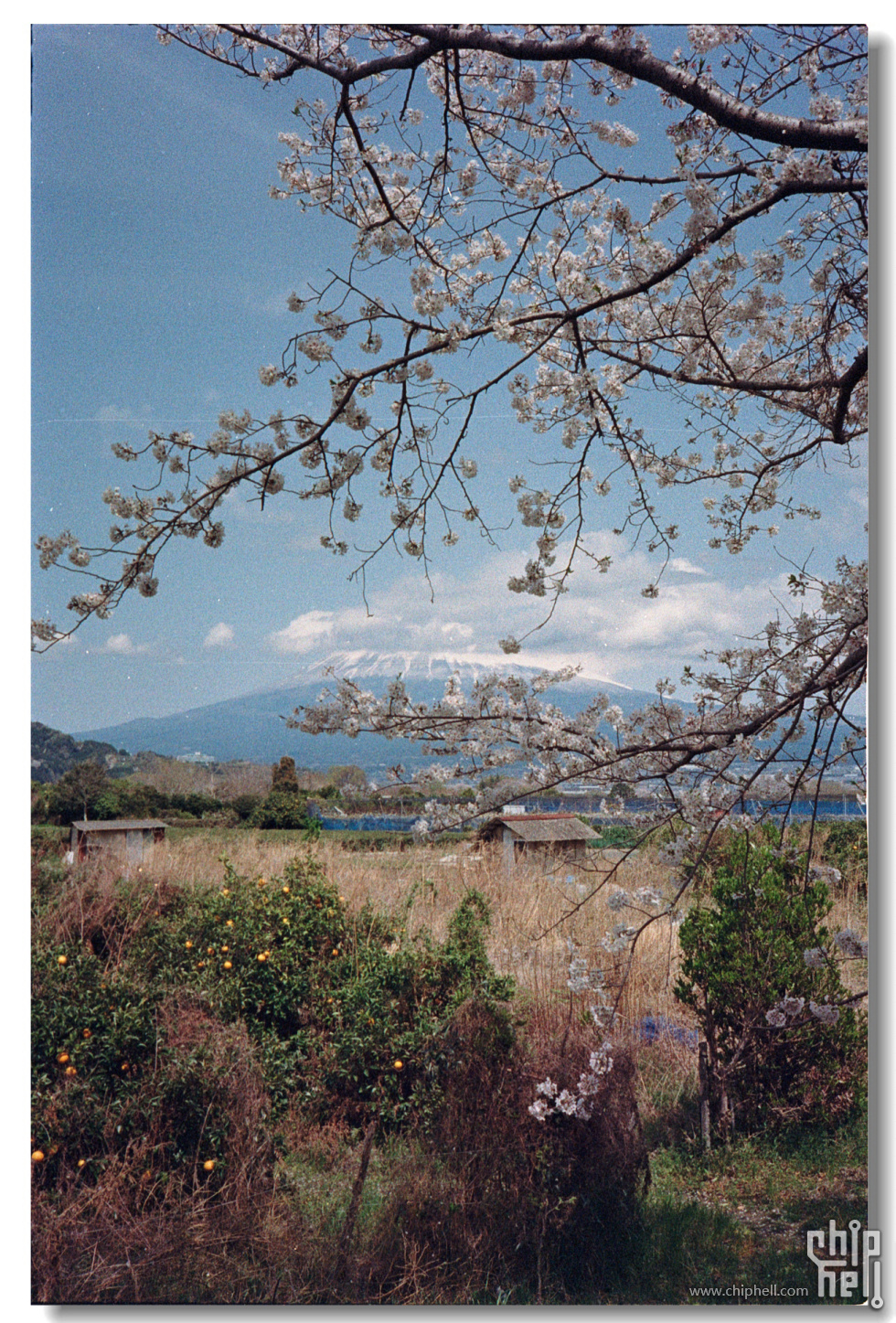 20250419 东京富士山静冈_富士C200_宾得17 13.jpg