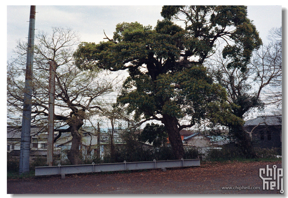 20250419 东京富士山静冈_富士C200_宾得17 18-2.jpg