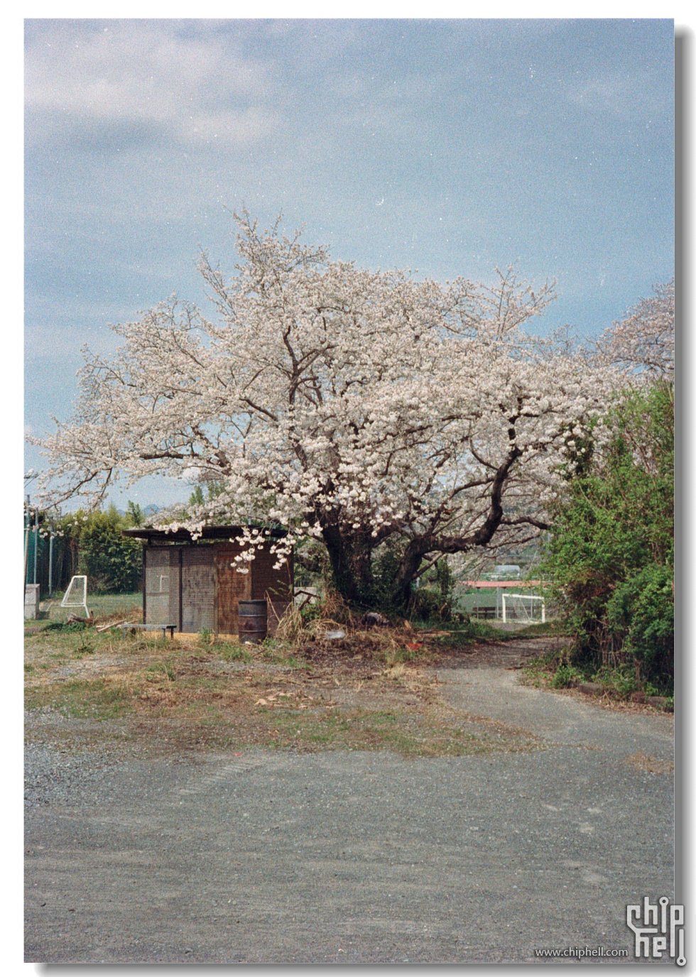 20250419 东京富士山静冈_富士C200_宾得17 18.jpg