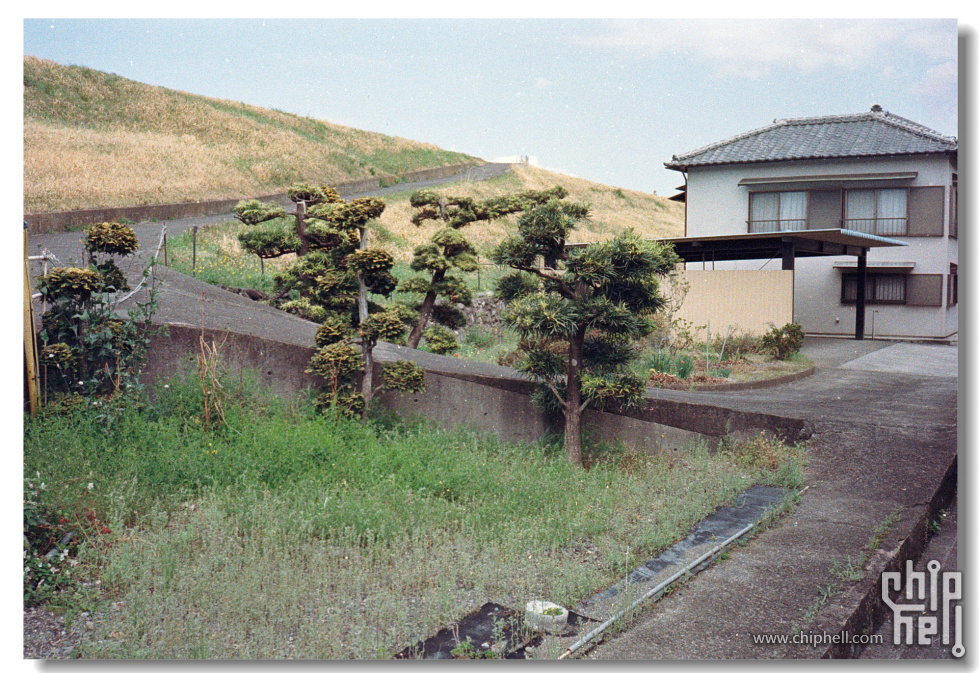 20250419 东京富士山静冈_富士C200_宾得17 21.jpg