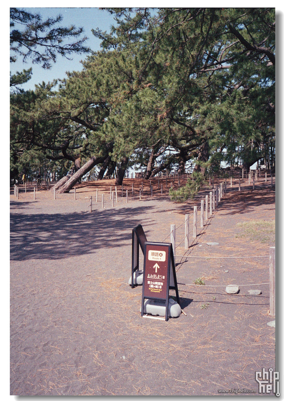 20250420 东京富士山岩本山公园_富士C100_宾得17 24.jpg