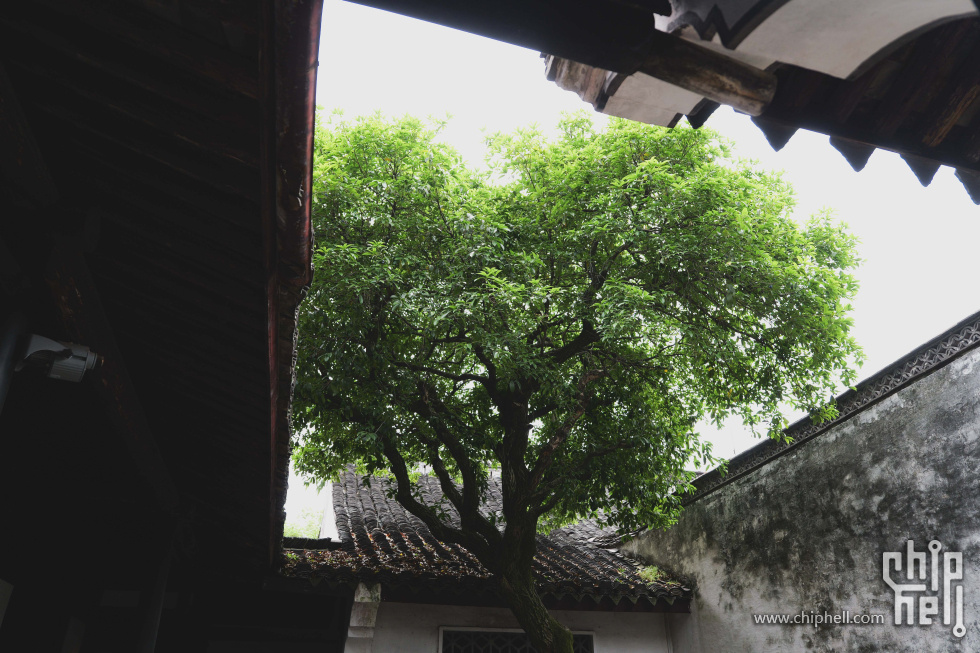 P1918922.jpg