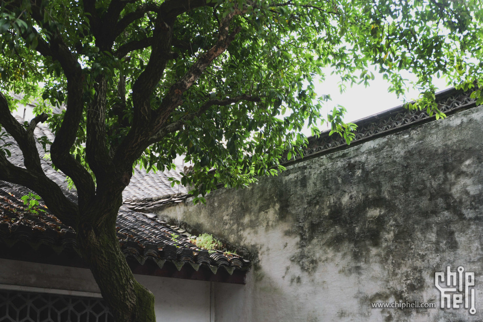 P1918927.jpg