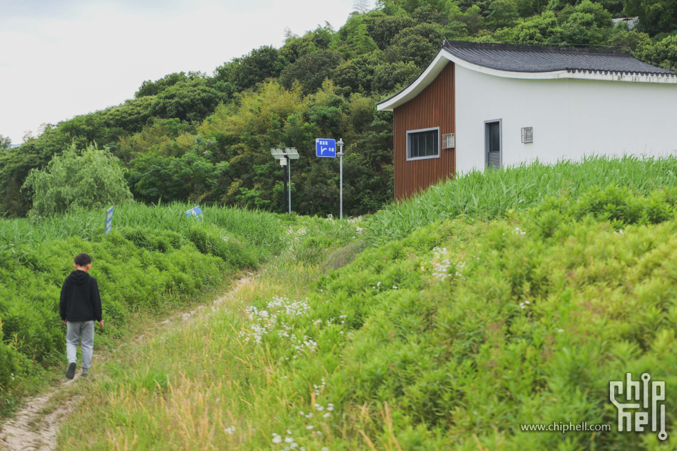 P1919465.jpg