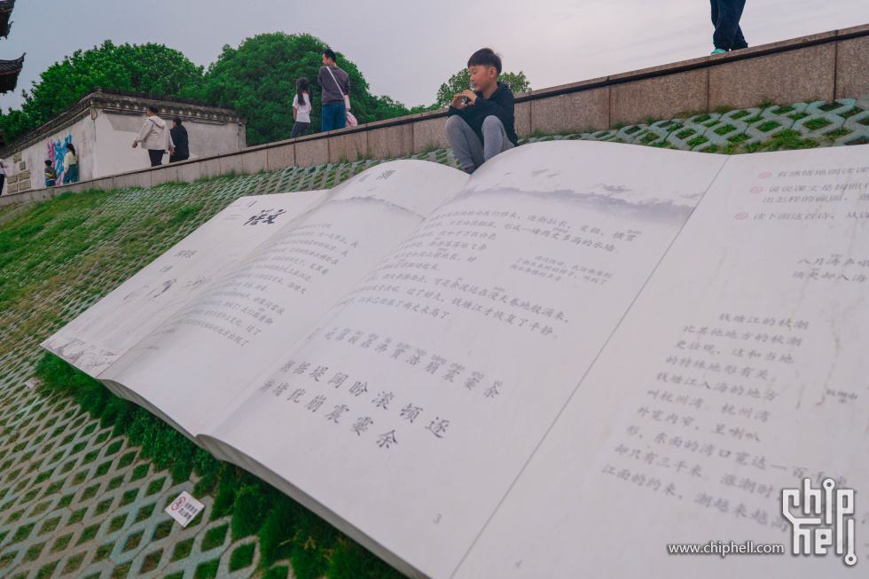 P1919825.jpg