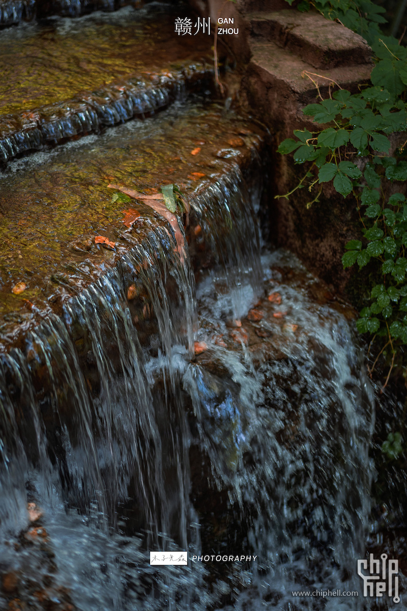 DSC02146_1.jpg
