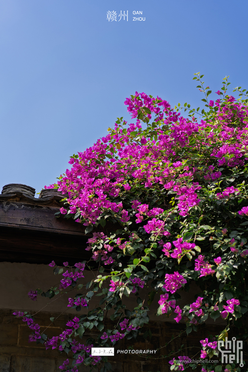 DSC02284.jpg
