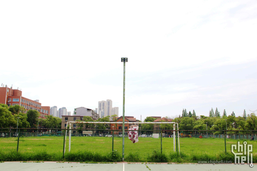 46.JPG
