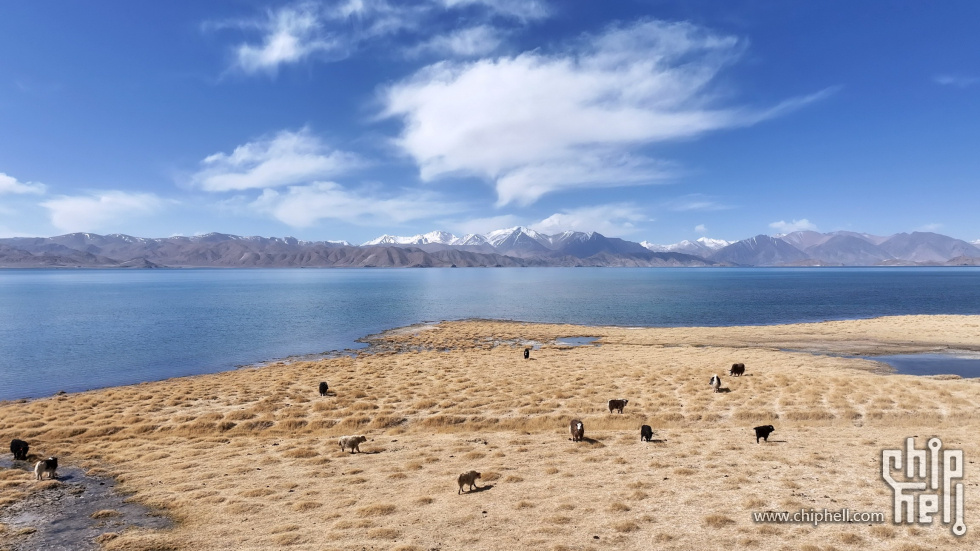 班公湖北岸