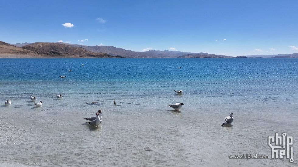 219新藏线截图083.jpg