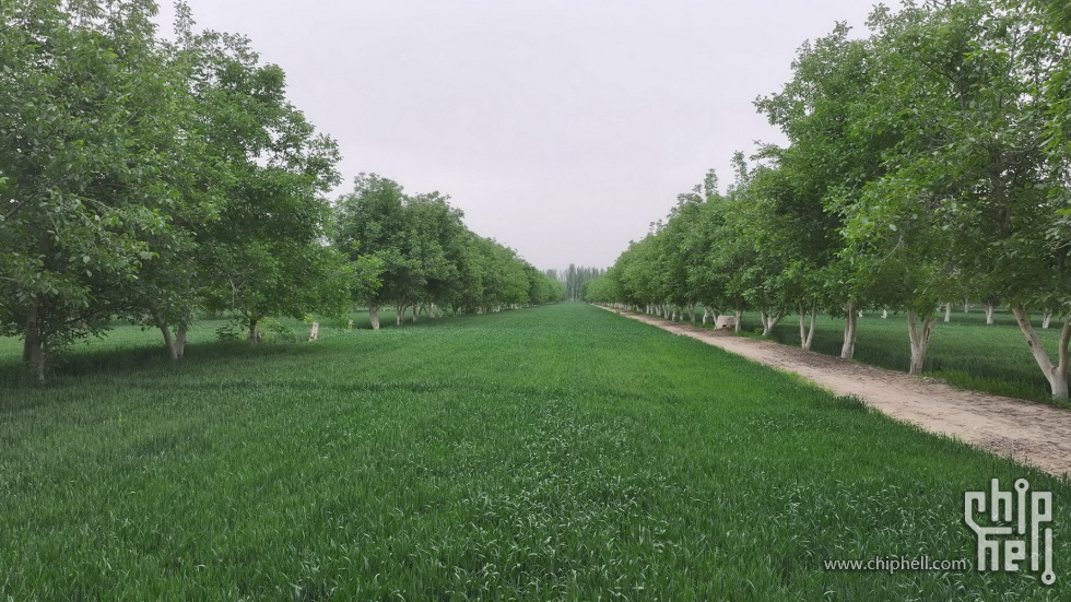 219新藏线截图096.jpg