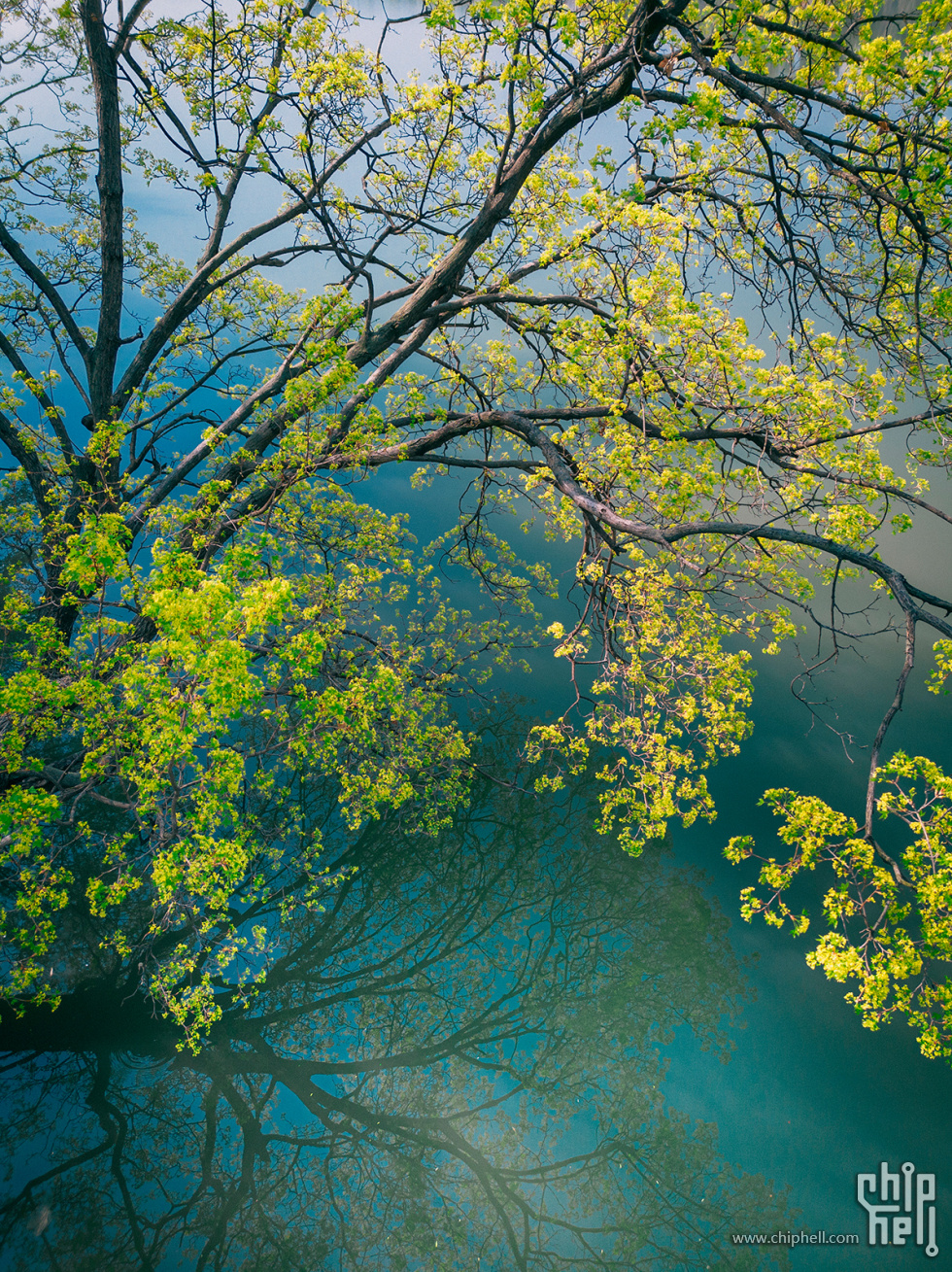 DJI_20250326 (79)-HDR.jpg