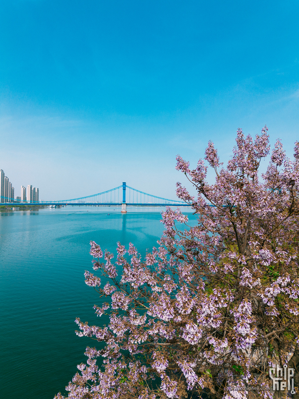 DJI_0235-HDR.jpg