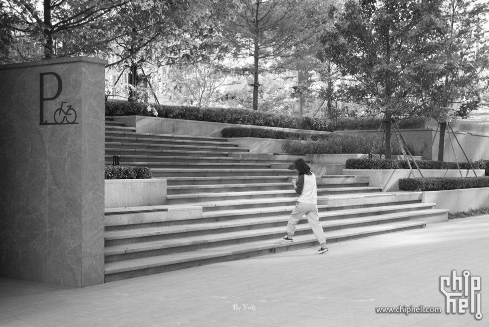 L1005415.jpg
