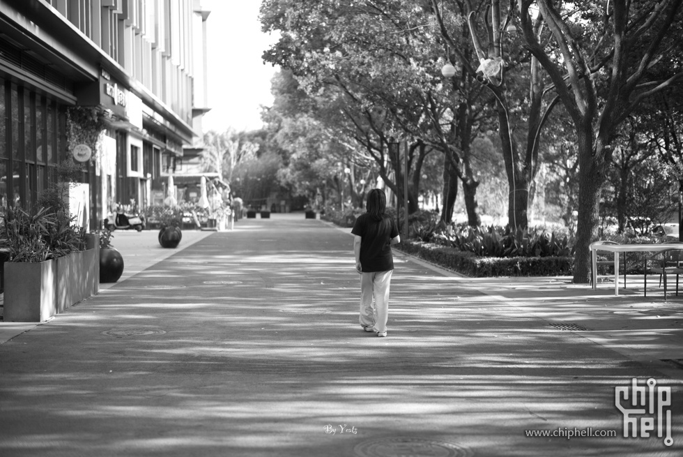 L1005397.jpg