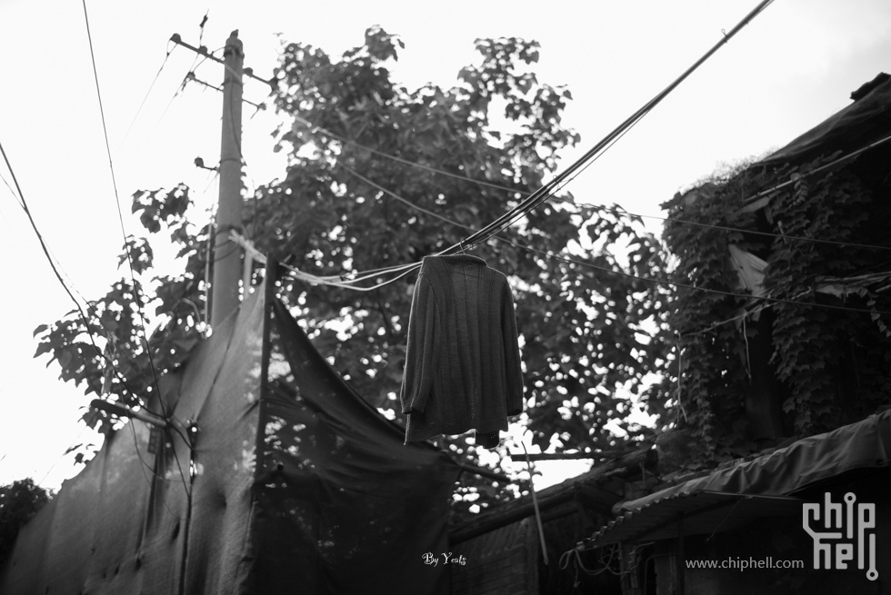 L1004649.jpg
