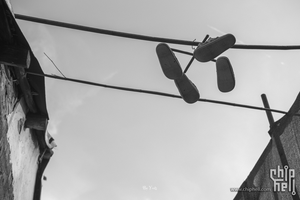 L1004654.jpg