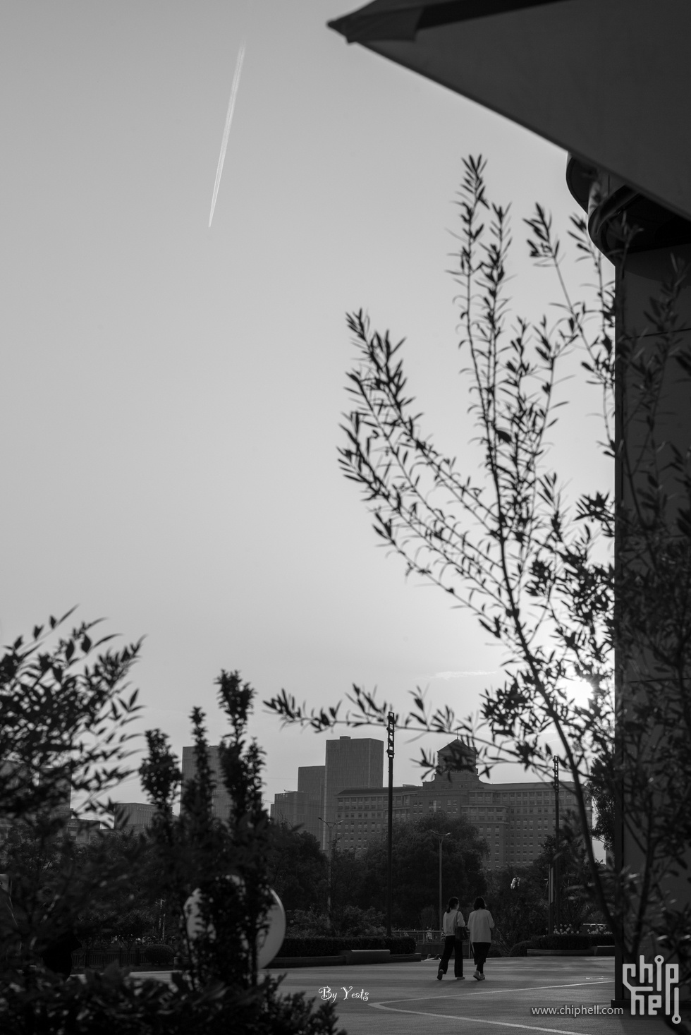 L1004453.jpg