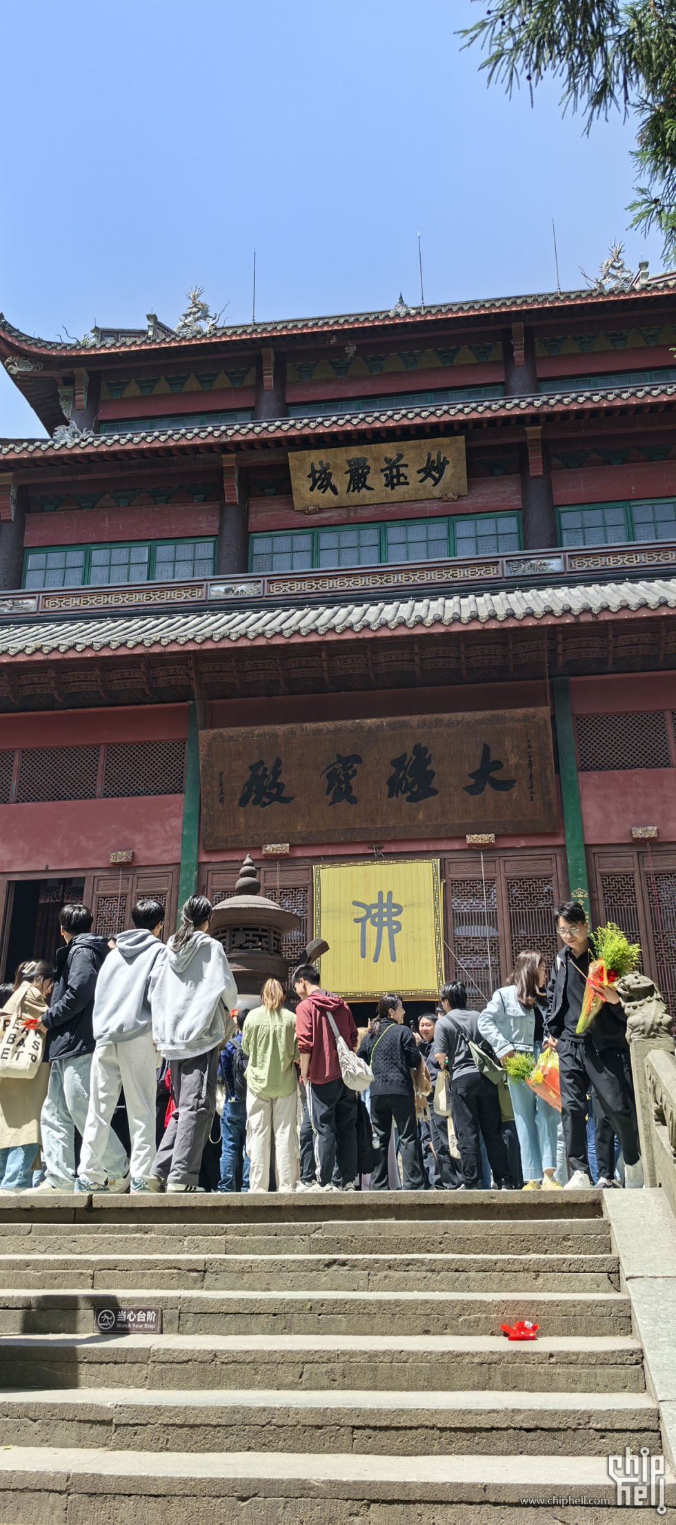 IMG_20250413_130130.jpg