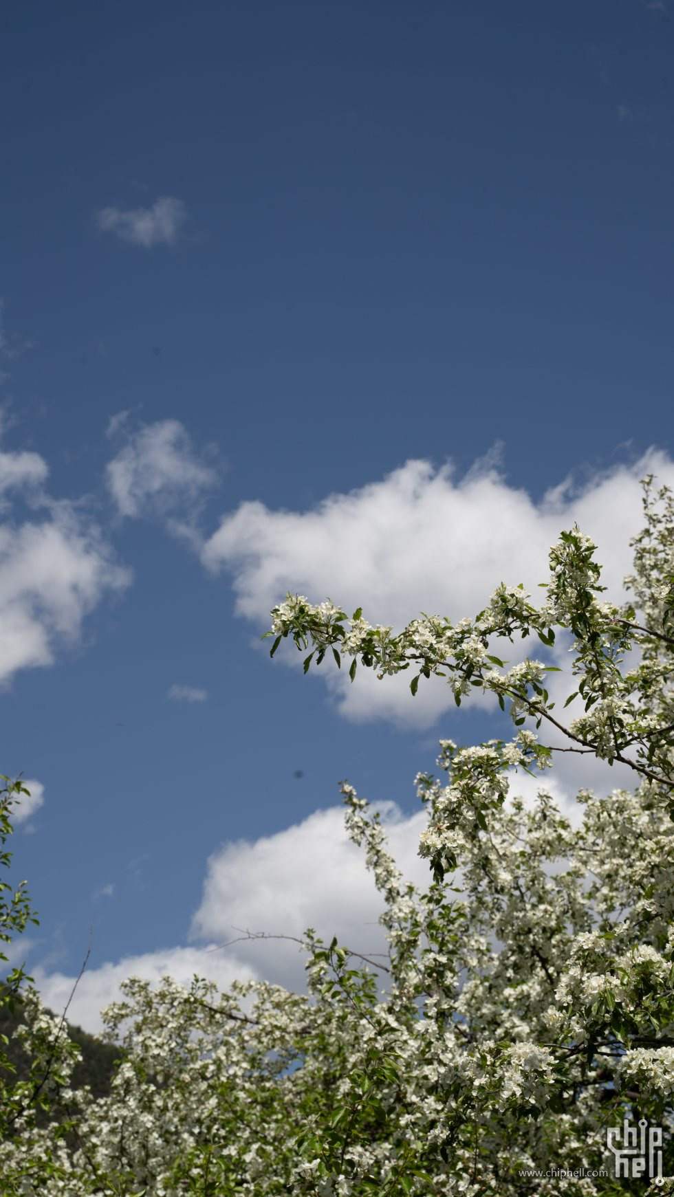 0524-6_chh.jpg