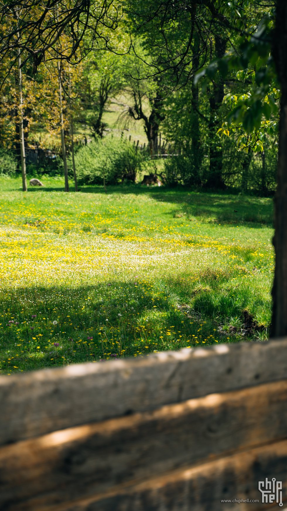 0524-22_chh.jpg