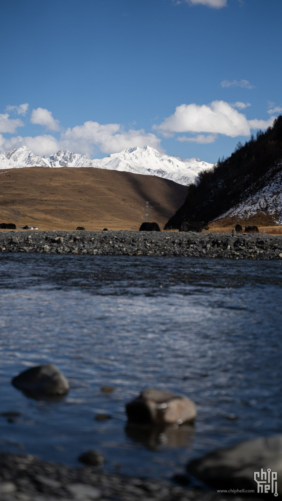 DSC09034_chh.jpg