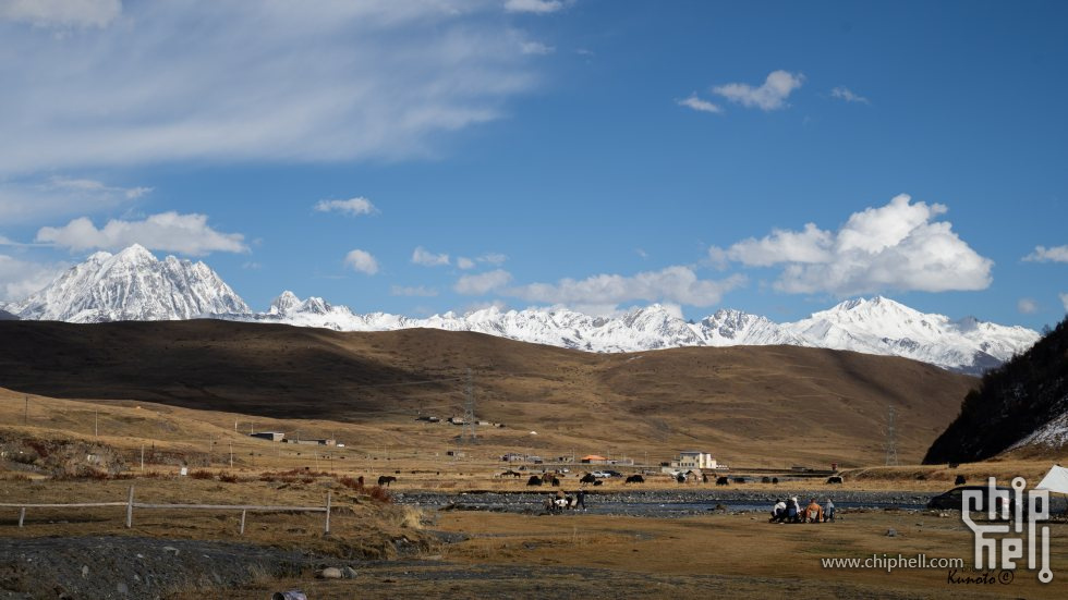 DSC09137_chh.jpg
