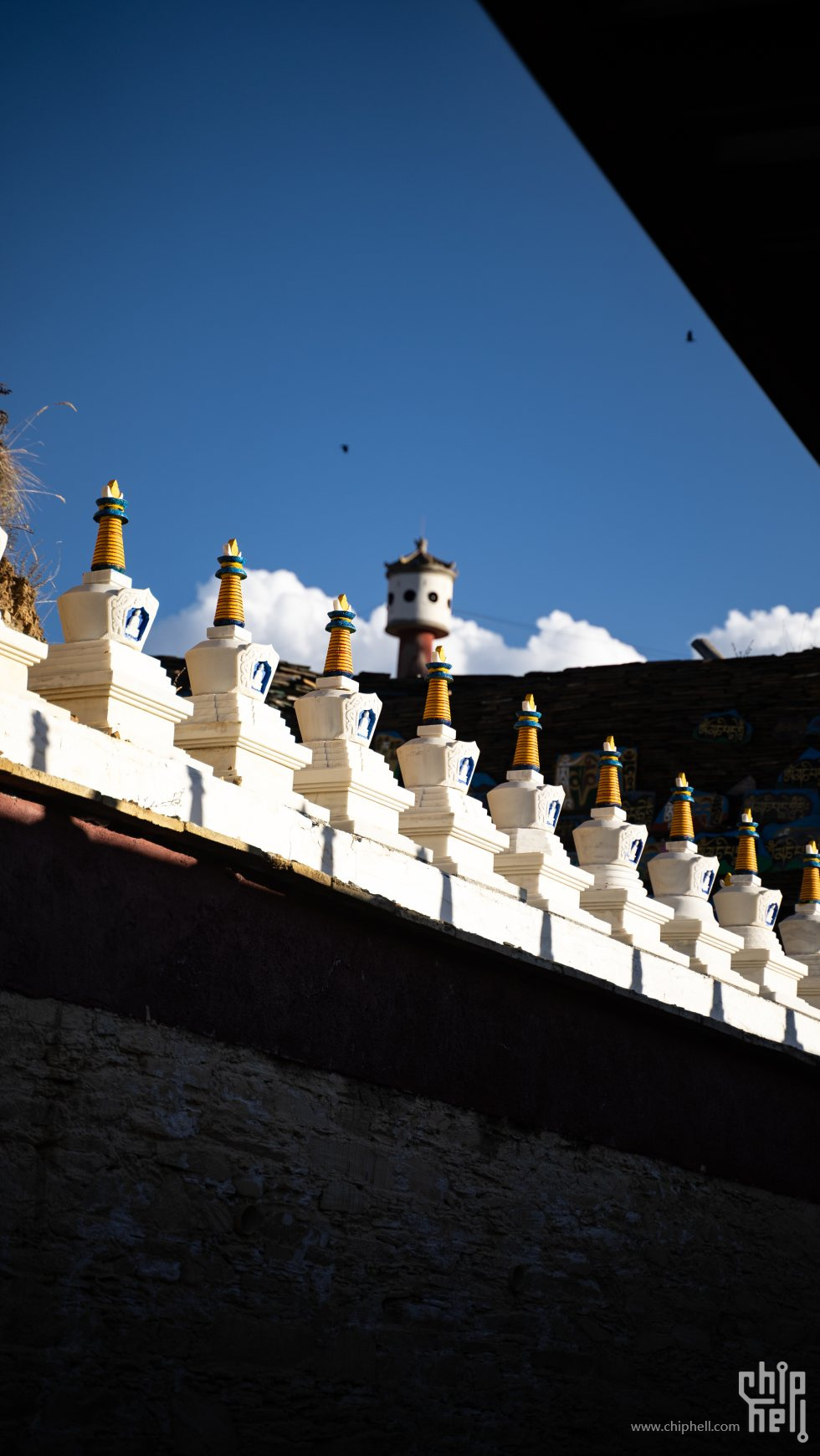 DSC09378_chh.jpg
