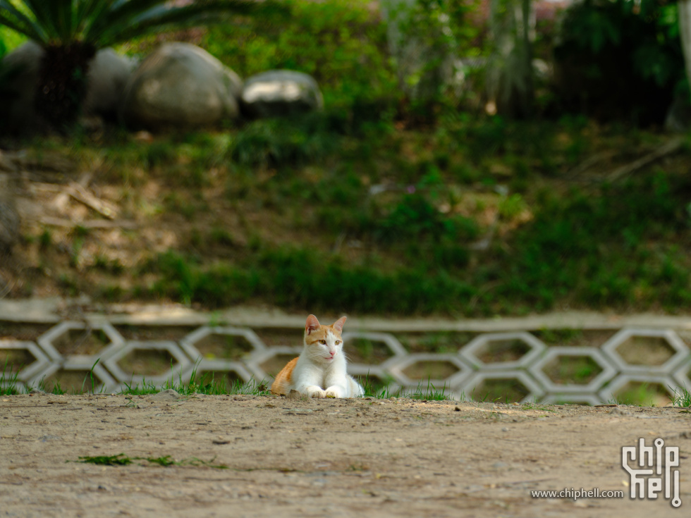DSCF6329.jpg