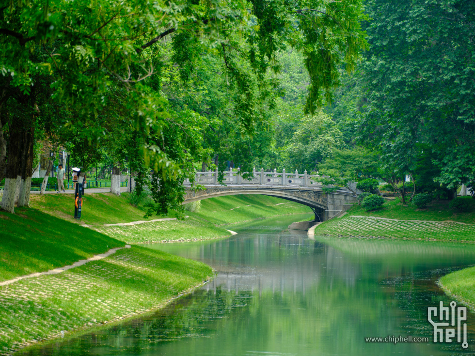 DSCF6345.jpg