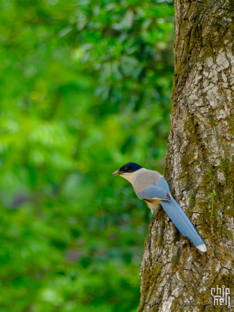 DSCF6360.jpg